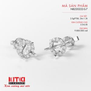 Vỏ Bông Tai Kim Cương